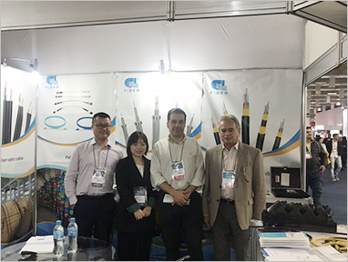 GL Participated In The Optical Cable  Exhibition in  2019